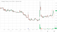 VTGN_Barchart_Interactive_Chart_01_25_2018 (1).png