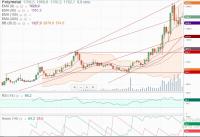 ПОЛИМЕТАЛ мес. 11.01.2021 г..JPG