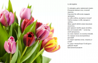 С 8 Марта!.png