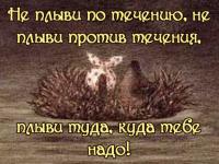 Ezhik2.jpg