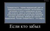 Толерантность.jpg