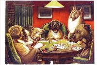 6-Animal-acting-human-Dogs-playing-cards-facetious-humor-pets.jpg