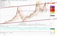 СУРГУТНЕФТЕГАЗ  пр         мес               20.07.2019 г..jpg