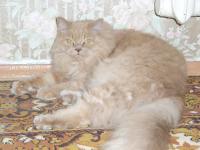 CIMG0359.JPG