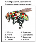 Неужели к этому готовят россиян господа, завалившие программу импортозамещения.png