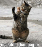Cat_Champagne.png