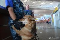 Шалайка  002.jpg